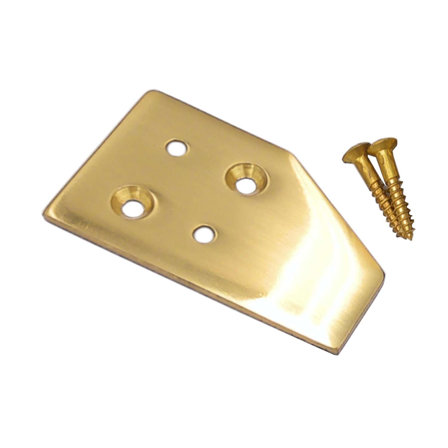 Striker Plate (50mm x 30mm)